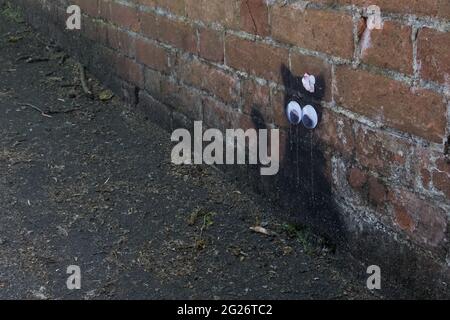 Wokingham, Großbritannien. Juni 2021. Eine schwarze Katzenschablone mit aufklebenden Augen von einem Straßenkünstler, der von anerkennenden Anwohnern als „Catsy“ bezeichnet wird. Es wird angenommen, dass etwa 30-40 solcher schwarzen Katzenschablonen vom anonymen Straßenkünstler durch die Stadt gesprüht werden. Kredit: Mark Kerrison/Alamy Live Nachrichten Stockfoto