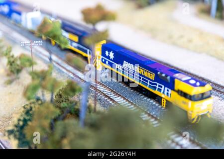 Pacific National fährt auf einer Modelleisenbahn Stockfoto