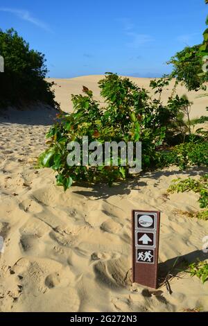 Das Ende der North Carolina's Mountains zum Sea Hiking Trail im Jockey's Ridge State Park an den Outer Banks. Stockfoto