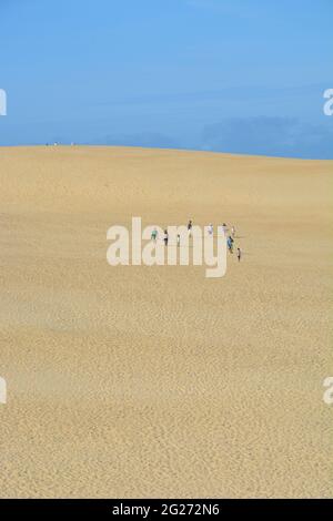 Eine Familie wandert durch die Dünen im Jockeys Ridge State Park am Outer Banks von North Carolina. Stockfoto