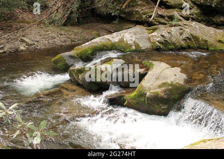 Wandern auf den Catawba Falls Stockfoto