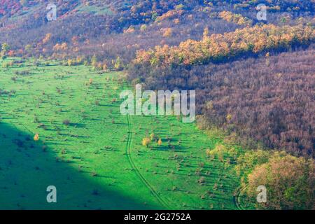 Fliegen über die schöne Natur . Luftaufnahme von Wiese und Wald . Herbstpanorama Stockfoto