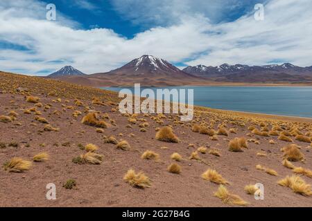 Miscanti Lagune mit Schnee auf den Berggipfeln der Anden, Atacama Wüste, Chile. Stockfoto