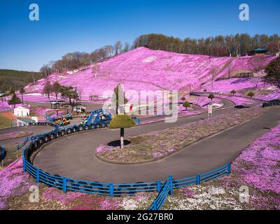 Higashimokoto Shibazakura Park, Hokkaido, Japan Stockfoto