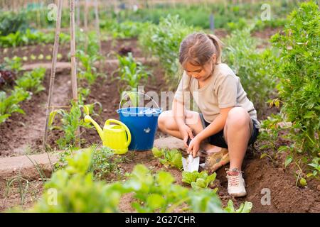 Positive Mädchen mit Chopper entfernt Unkraut aus Gartenbeeten Stockfoto