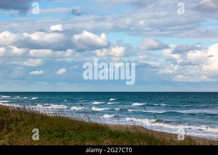 Die grasbewachsene Küste der Ostküste von Hutchinson Island trifft unter dem wolkigen Himmel Floridas auf den Atlantischen Ozean. Stockfoto