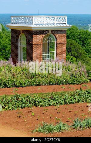 Der 'Gemüsegarten' in Monticello ist Teil des Anwesens von Thomas Jefferson, wo er eine Vielzahl von Gemüse anbaute, die noch heute dort angebaut wird. Stockfoto