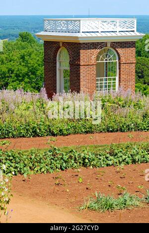 Der 'Gemüsegarten' in Monticello ist Teil des Anwesens von Thomas Jefferson, wo er eine Vielzahl von Gemüse anbaute, die noch heute dort angebaut wird. Stockfoto