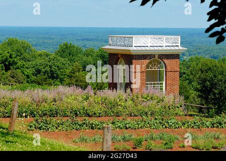 Der 'Gemüsegarten' in Monticello ist Teil des Anwesens von Thomas Jefferson, wo er eine Vielzahl von Gemüse anbaute, die noch heute dort angebaut wird. Stockfoto