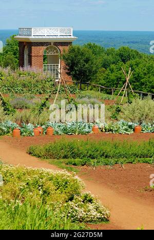 Der 'Gemüsegarten' in Monticello ist Teil des Anwesens von Thomas Jefferson, wo er eine Vielzahl von Gemüse anbaute, die noch heute dort angebaut wird. Stockfoto