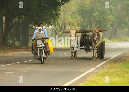 indian Bullock Cart ohne Menschen Stockfoto