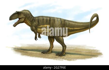 Giganotosaurus carolinii, Seitenansicht. Stockfoto