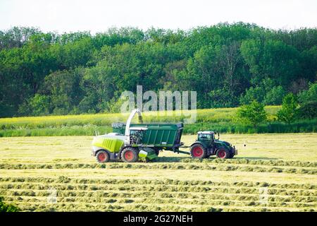 Zwei landwirtschaftliche Fahrzeuge ernten Heu. Sammeln von Heu für Silage. Hügelige grüne Landschaft. Stockfoto