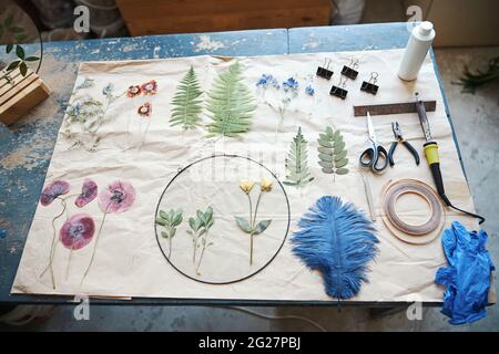 Blatt Papier mit getrockneten Pflanzen und Herbarium-Werkzeugen Stockfoto