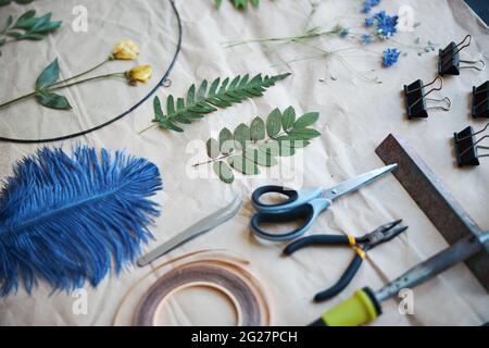 Kräuterwerkzeuge und verschiedene Pflanzen auf einem Blatt Papier Stockfoto