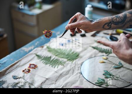 Männliche Kräuterkundige Hand hält getrocknete Blume für Herbarium Stockfoto