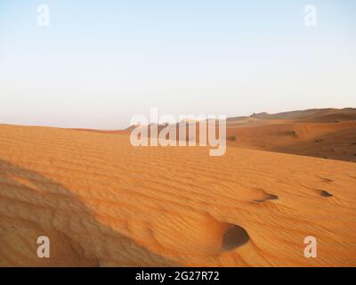 Sandmeer der Dünen der Great Sahara Desert Stockfoto