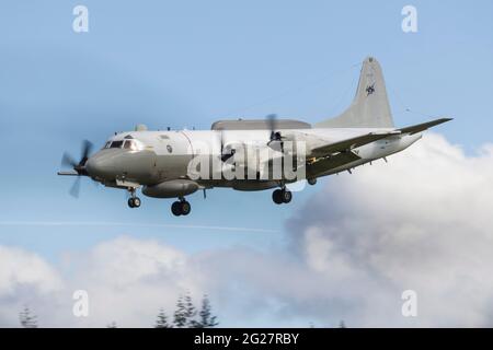 Ein Überwachungsflugzeug der US Navy EP-3E Widder. Stockfoto