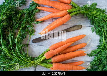 Ein Paket frischer Karotten mit Grünpflanzen auf Holzgrund Stockfoto