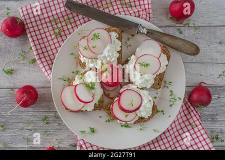 Gesunde Vollkornsandwiches mit fettarmer Hüttenkäse, rotem Rettich und Kresse auf einem Teller auf rustikalem und hölzernen Tischhintergrund serviert Stockfoto