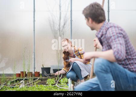 Lächelnde Frau, die mit Setzlingen und Mann arbeitet Stockfoto