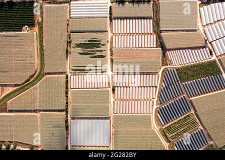 Gewächshaus Landwirtschaft viel in verschiedenen Formen und Dimensionen, Luftansicht. Stockfoto