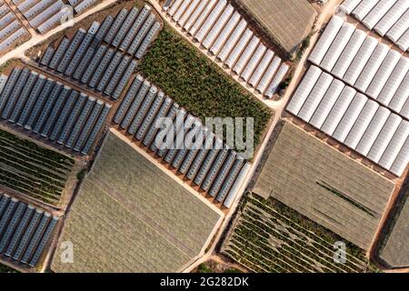 Gewächshaus Landwirtschaft viel in verschiedenen Formen und Dimensionen, Luftansicht. Stockfoto