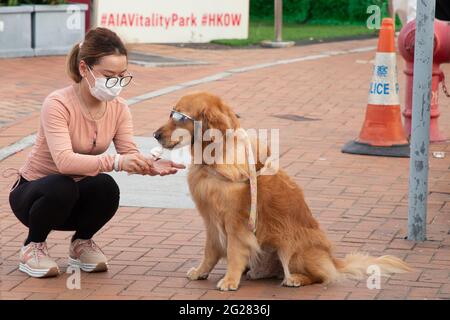 lady mit Gesichtsmaske füttert Eiscreme an einen hübschen Hund mit Sonnenbrillen an der geräumigen Central District Promenade in Hongkong, um sich während des heißen Sommers und CO zu entspannen Stockfoto