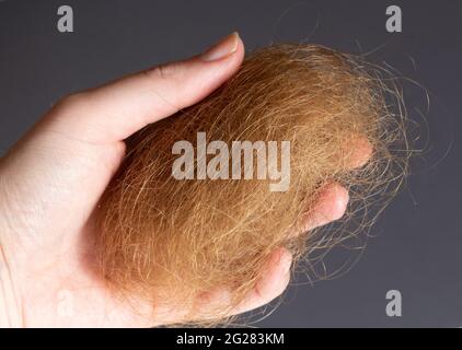 Ball aus blonden Haaren in der Hand einer Frau Stockfoto