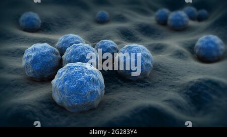 Biomedizinische Darstellung von Chlamydien auf der Oberfläche. Stockfoto