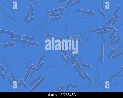 Mikroskopische Röntgenaufnahme von Clostridium perfringens-Bakterien. Stockfoto