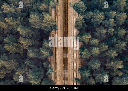 Bei klarem Wetter gleist die Schiene am Abend mitten in einem grünen Wald auf den Gleisen. Hintergrund zum Thema Bahnreisen mit der Bahn. Luftaufnahme der Drohne über dem Kopf. Stockfoto