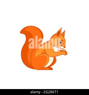 Eichhörnchen, seitlich sitzend, eine Haselnuss vor den Pfoten haltend und davon essend. Heck nach oben. Cartoon-Charakter eines Nagetier Säugetier Tier. Vektor flach Stock Vektor