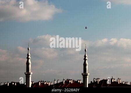 Schwungende Vögel am Himmel Stockfoto