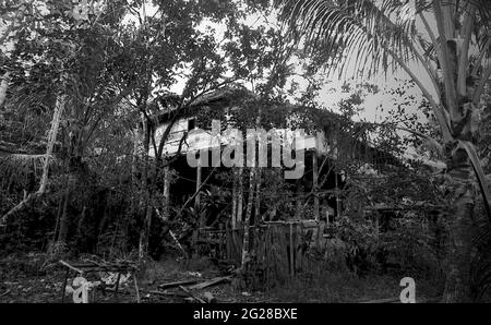 Sungai Uluk Palin, Kapuas Hulu, West Kalimantan, Indonesien. März 2007. Das Langhaus der traditionellen Dayak Tamambaloh-Gemeinschaft. - Fotografiert auf Schwarz-Weiß-Film, gescannt, digitalisiert. Stockfoto