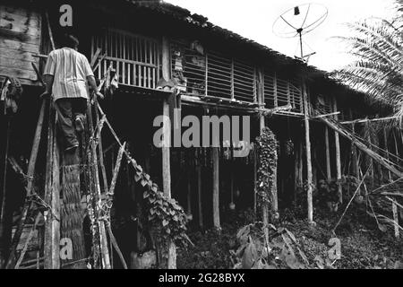 Sungai Uluk Palin, Kapuas Hulu, West Kalimantan, Indonesien. März 2007. Ein Mann, der auf einer Treppe im Langhaus der traditionellen Dayak Tamambaloh-Gemeinschaft läuft. - Fotografiert auf Schwarzweiß-Film, gescannt, digitalisiert. Stockfoto