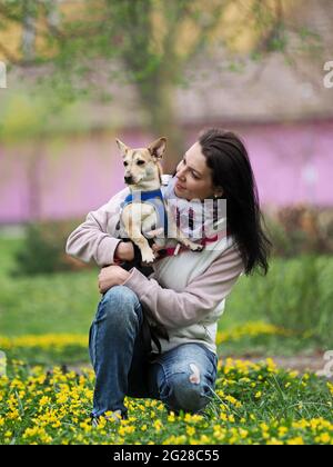 Erwachsene nette Frau geht den kleinen Hund im Frühling Stockfoto