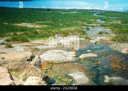 Afrika, Tansania, Lake Manyara National Park Landschaft Stockfoto