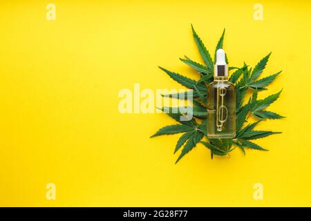 Hanföl-Serum in Glasflasche auf Cannabisblättern. Cannabisblatt mit Hautpflegeprodukt auf gelbem Hintergrund mit Kopierraum Stockfoto