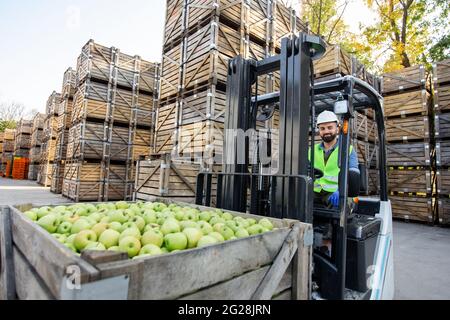 Beladen von Äpfeln mit Gabelstapler, Transport von Waren zu industriellem Produktionssaft Stockfoto