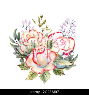 Ein Bouquet aus weißen Rosen mit einem rosa Rand, Blättern, Beeren, dekorativen Zweigen. Aquarell-Illustrationen für die Gestaltung von Grußkarten, Einladungen Stockfoto