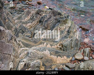 Hochgefaltete geschichtete Gesteinsschichten auf Meereshöhe auf der Ness of Hillswick, Northmavine, Shetland, Großbritannien. Stockfoto