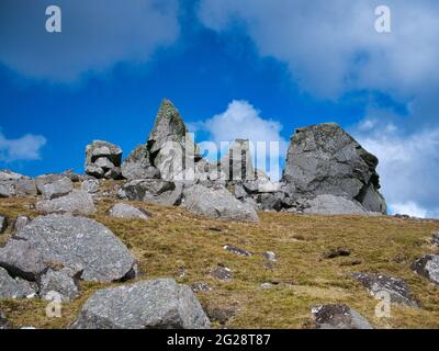 The Stanes or Stones of Stofast on Lunna Ness, Shetland, UK - die Steine sind große Gletscherrasen auf einem Hügel in der Nähe von Stofast Stockfoto