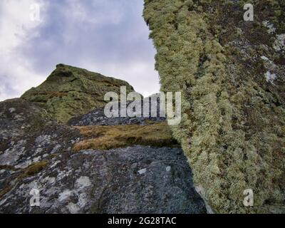 The Stanes or Stones of Stofast on Lunna Ness, Shetland, UK - die Steine sind große Gletscherrasen auf einem Hügel in der Nähe von Stofast Stockfoto