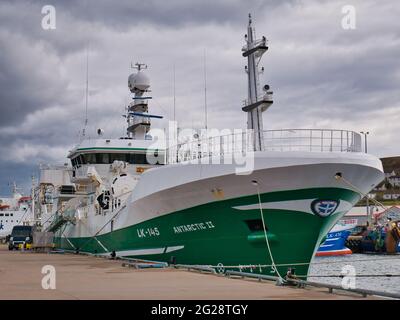 Der Hafen von Lerwick, die Antarctic II (LK 145), eine der pelagischen Fischereiflotte der Shetland, liegt vor Anker und verfügt über einen Heimathafen von Symbister, Whalsay. Stockfoto