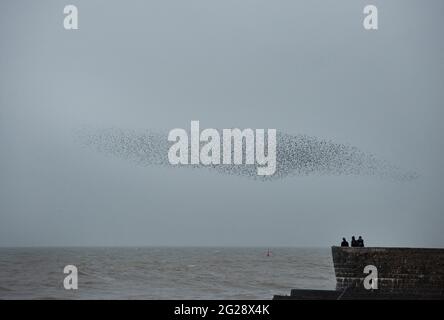 Menschen an der Abenddämmerung beobachten EINE Sternmurmerung am Strand in Brighton, East Sussex, Großbritannien Stockfoto