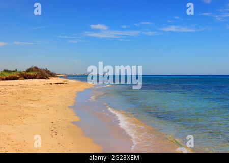 Der Regionale Naturpark Dune Costiere (Torre Canne): Zaun zwischen den Dünen des Meeres, Apulien (Italien). Stockfoto