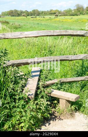 Ein Holzstile, der zu einem großen Feld mit hohen in Alfriston in West Sussex führt. Der Stiel ermöglicht einen individuellen Durchgang über einen Zaun über Stufen. Stockfoto