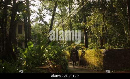 Pfad oder kleine Straße in einer dichten Evergreen Forest Town mit mosbedeckten Mauern in Kerala, Indien. Straße durch ein Walddorf Stockfoto