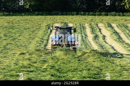 Ein Landwirt Silage Tedding auf einem Bauernhof in Yorkshire, England. Stockfoto